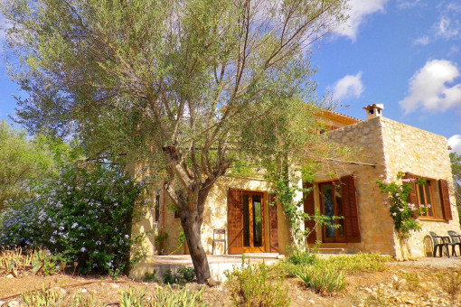 Finca in Manacor-North