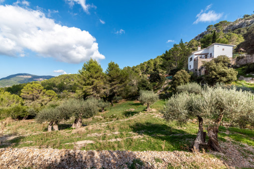 Finca in Puigpunyent on a large plot with panoramic views and great privacy