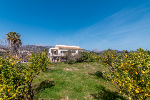 Beautifully situated finca in Selva for renovation