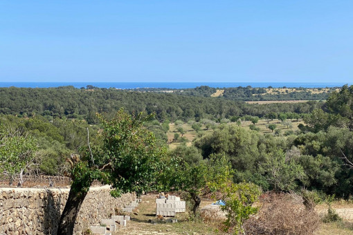 Perceel in Cala Murada