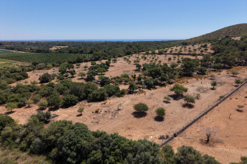 Perceel in Manacor-South