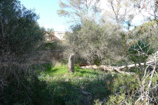 Perceel in Cala Figuera