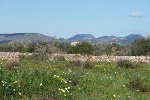 Perceel in Cala Llombards