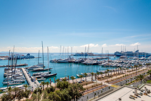 Commerciëel in Paseo Maritimo