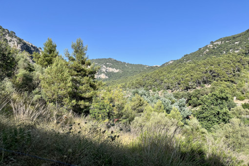 Perceel in Valldemossa