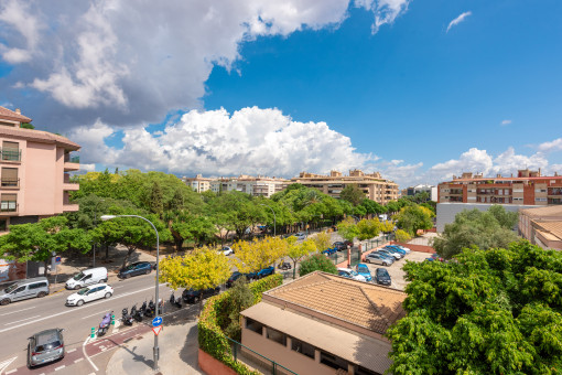 Commerciëel in Palma City