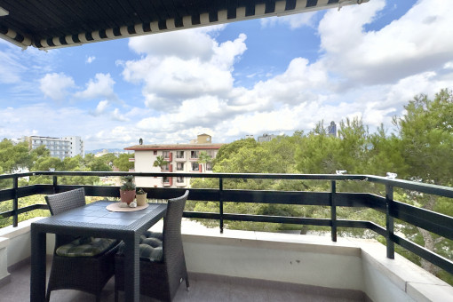 Commerciëel in Palma Surroundings
