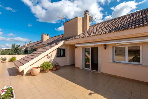 Commerciëel in Palma City