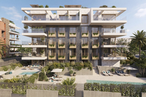 Commerciëel in Palma City
