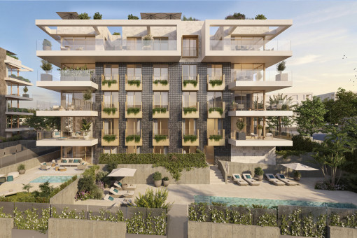 Commerciëel in Palma City