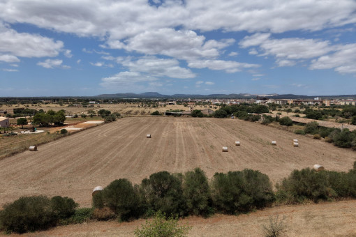 Perceel in Campos