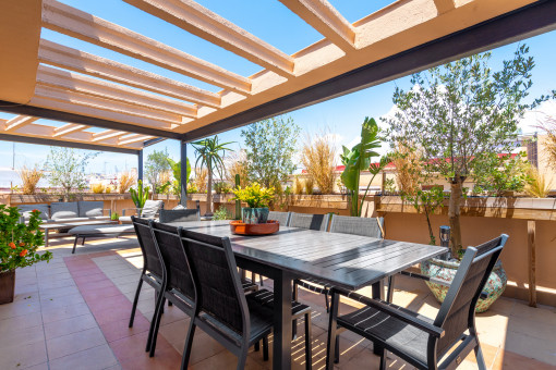 Commerciëel in Palma City